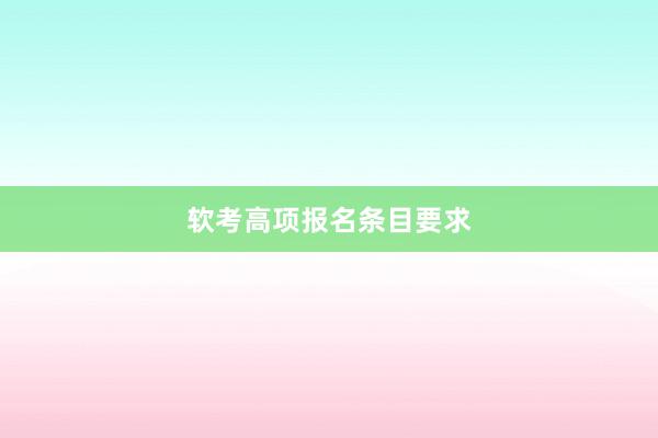 软考高项报名条目要求