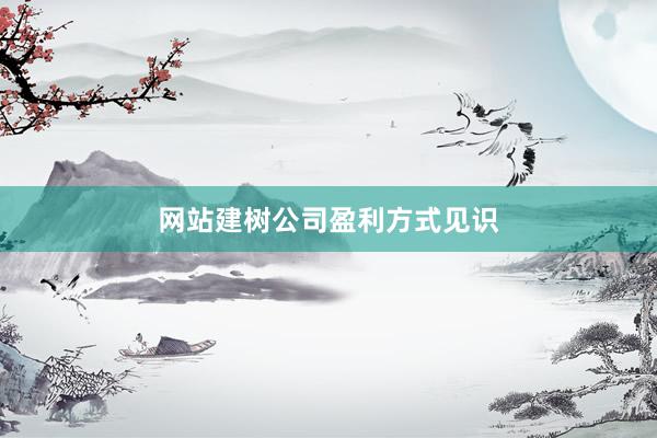 网站建树公司盈利方式见识