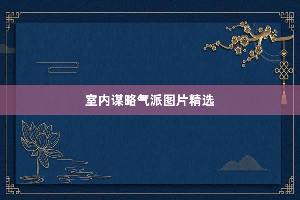 室内谋略气派图片精选